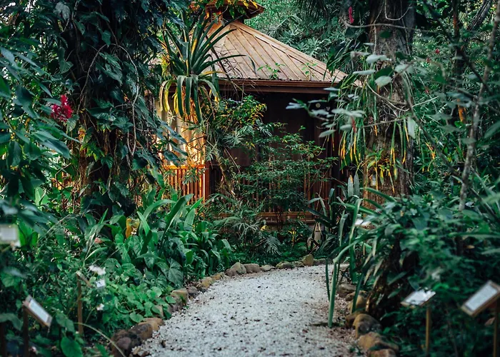 Ian Anderson Caves Branch Jungle Lodge