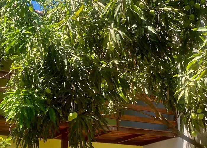 Pousada Águas de Tamandaré