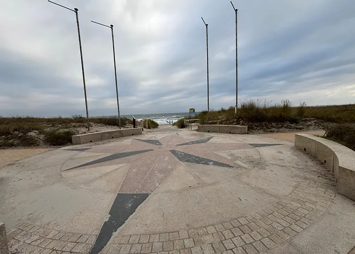 Muschel am Strand