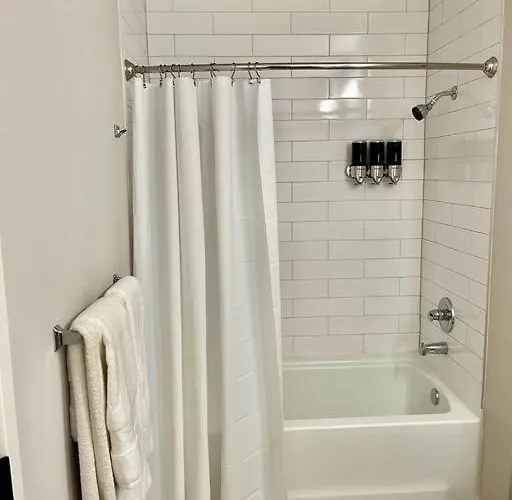 Cozy Modern 1 Bedroom Apartment