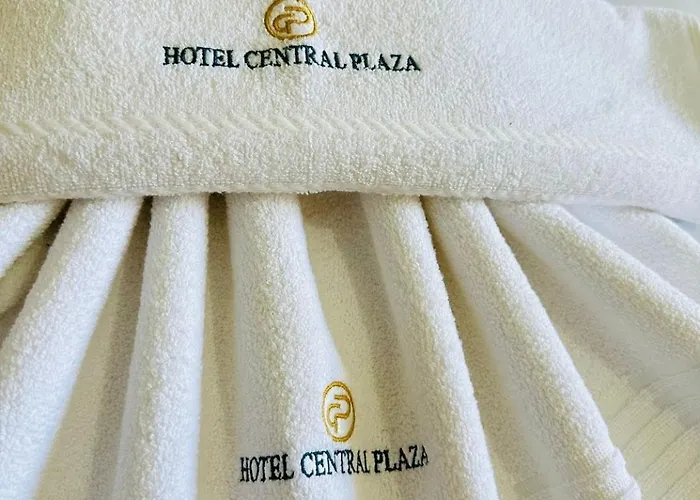 Hotel Central Plaza Timóteo