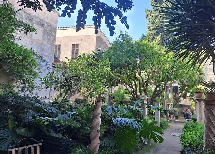 City Haven Palma