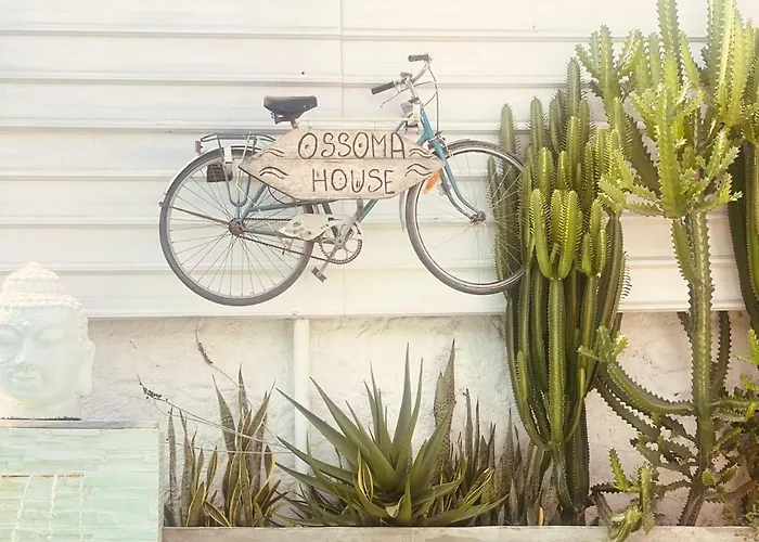 Ossoma House
