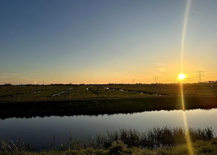 Experience Zaandam Mills & Amsterdam City Vibes