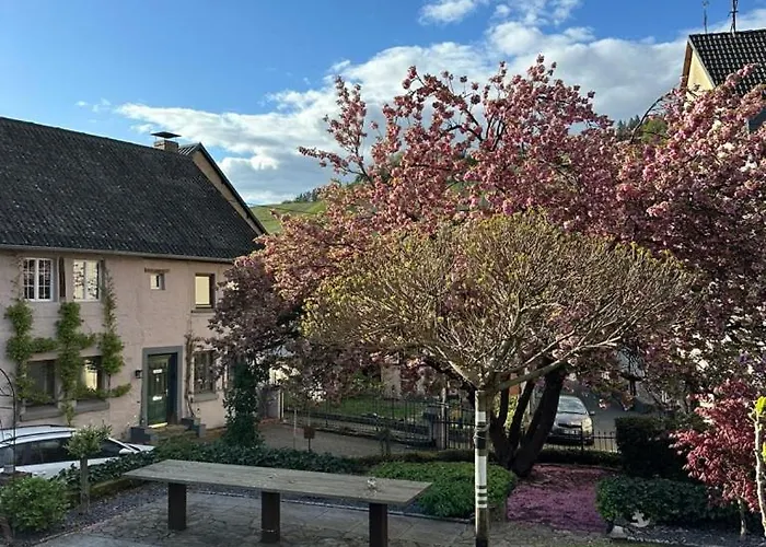 FeWo Moselruhe