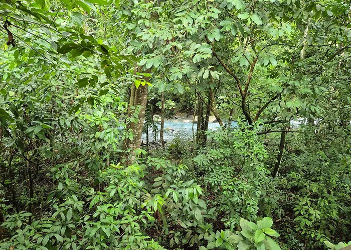 Rio Celeste Ecolodge