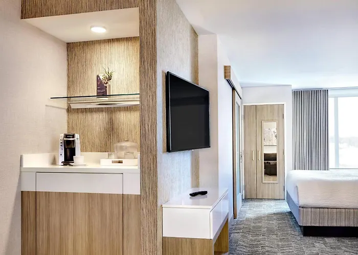 Springhill Suites By Marriott Cleveland Independence
