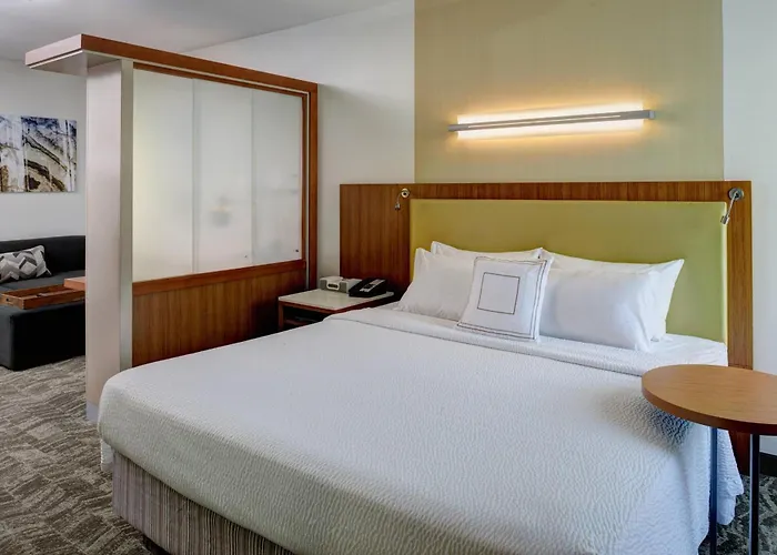 Springhill Suites By Marriott Saginaw