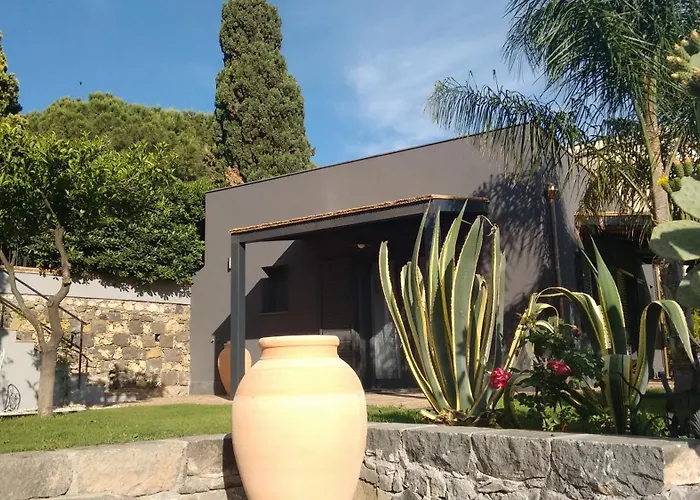 Avocado B&B Beyond