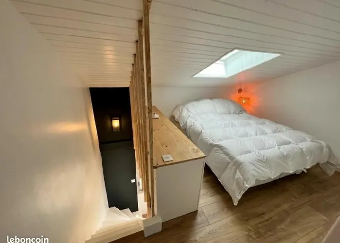 Elegant Duplex Neuf A 30 M De L'Ocean Avec Parking