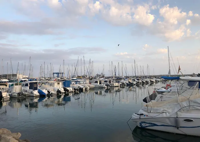 Puerto Blanco 5D4