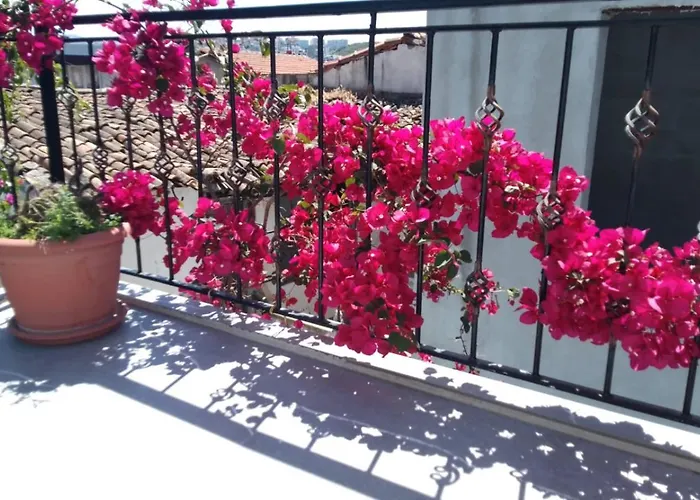 Casa Magnolia Boutique Rooms