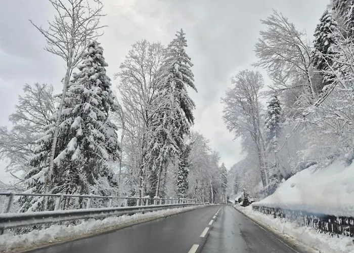 Panorama *