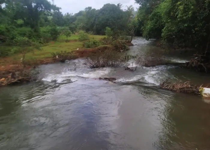 Yashovana Nature Stay Gokarna