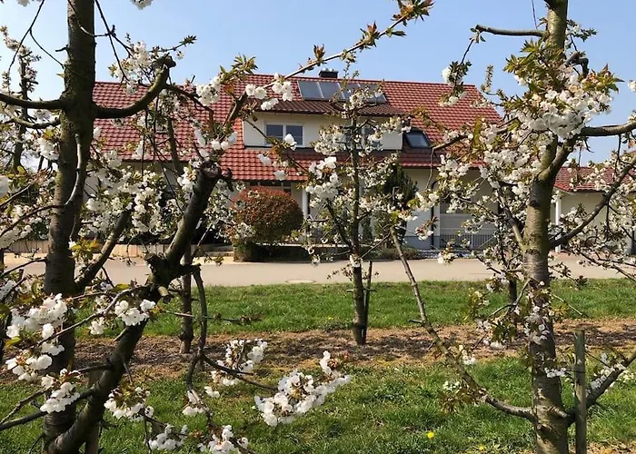 Ferien - Apartment umgeben von Obstplantagen