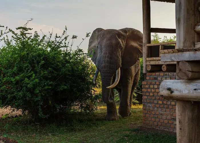 Tabingi Safari Cottages