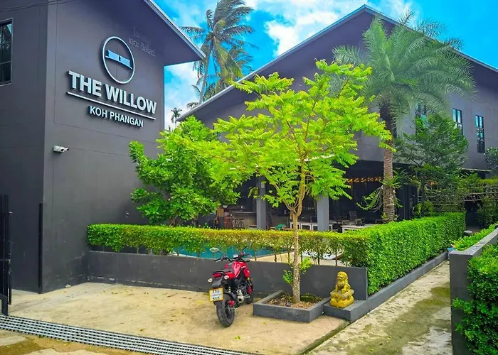 The Willow Phangan