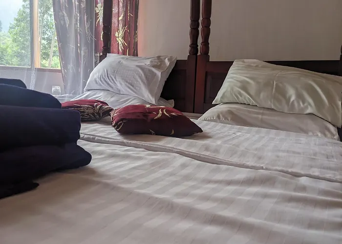 Cwmbale Eco-Safari Lodges, Restaurant And Zoo.