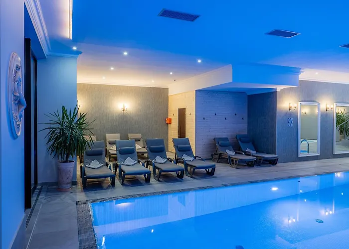 Hotel Paryski Art & Business Zakopane - Basen Jacuzzi Sauna Malpi Gaj