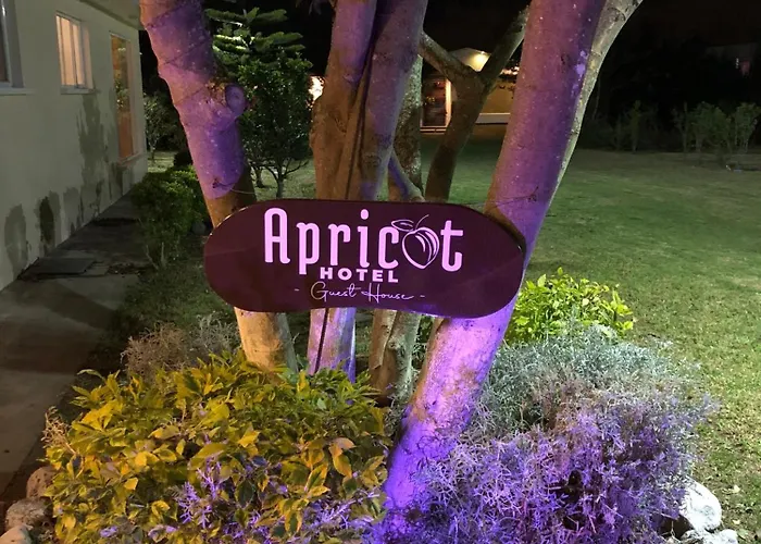 Apricot Hotel
