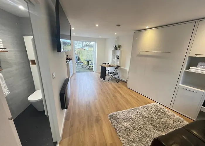 Self-Contained Studio With Folding Down Bed