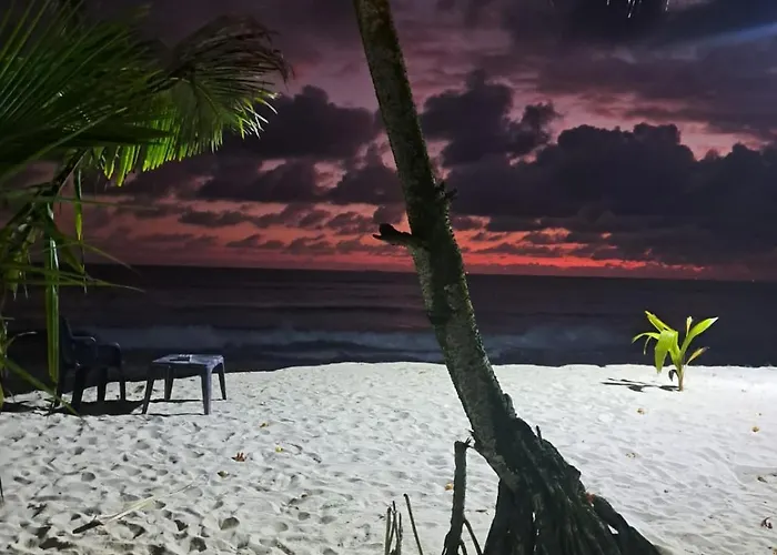Haus am Meer Wilde Ananas