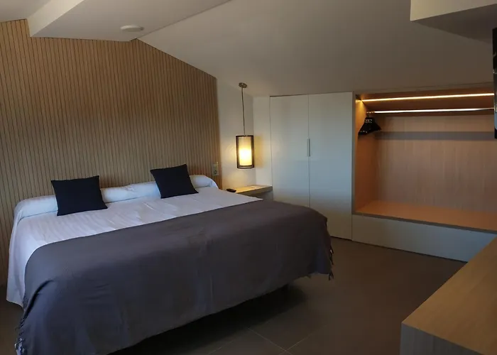 Hotel Olot Centre