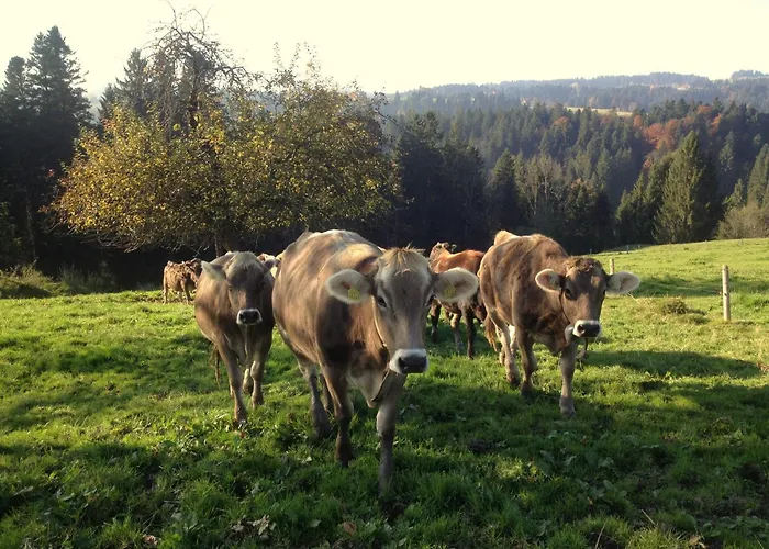 Ferienhof Sinz im Allgäu