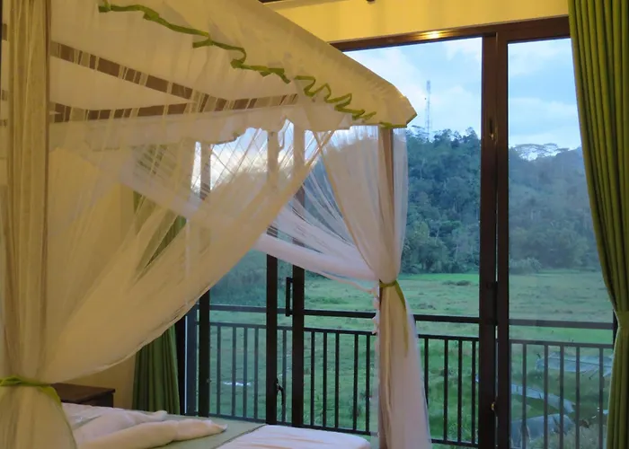 Wildlife Kingdom - Deniyaya Sinharaja