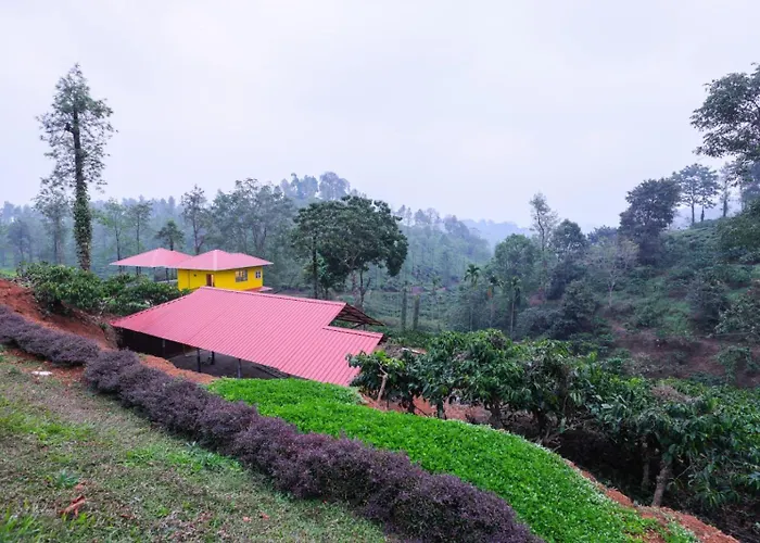 Velvet Oasis Cottages