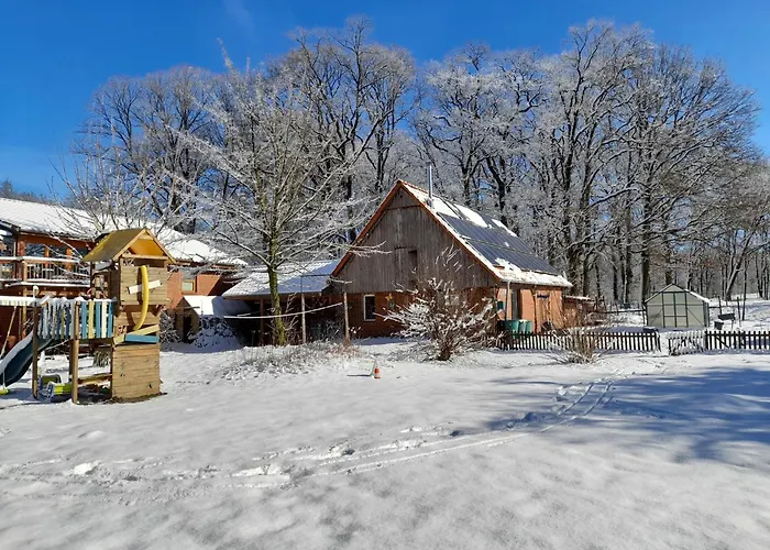 Mühlenbach Kotten- Bauernhofurlaub mit Hund und Pferd