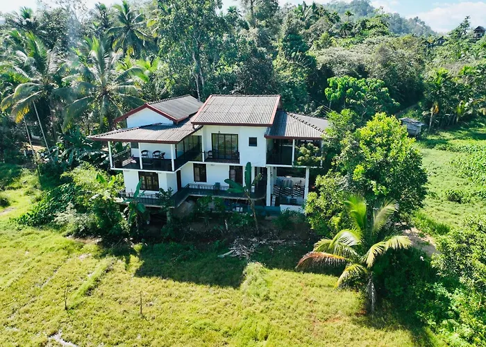 Wildlife Kingdom - Deniyaya Sinharaja