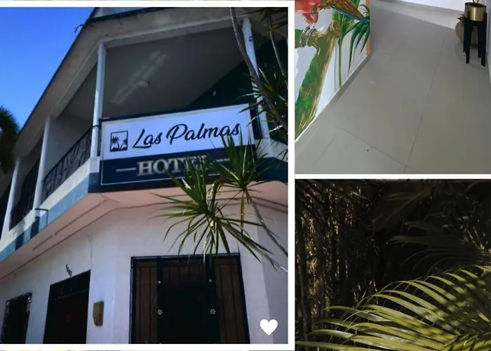 Hotel Las Palmas