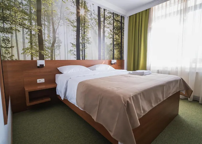 Hotel Comat Deva