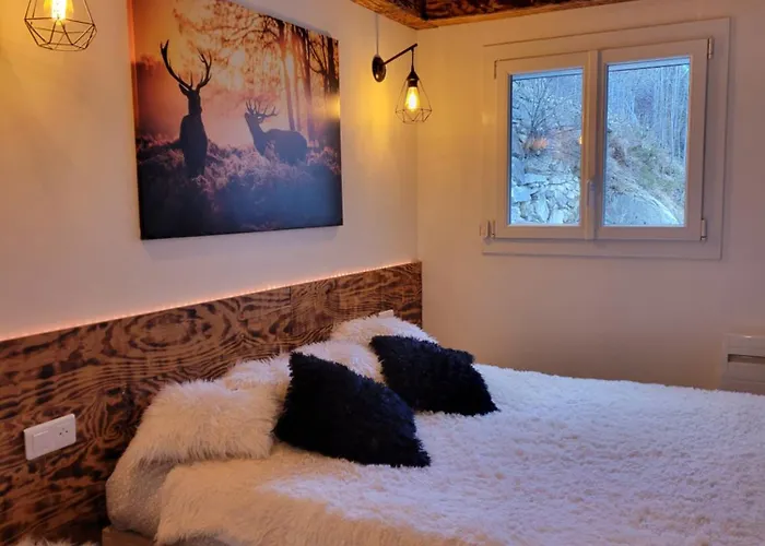 Appartement T2 Cosy