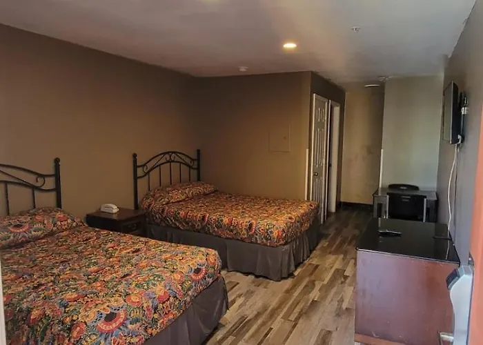 Live In Lodge Stone Mountain
