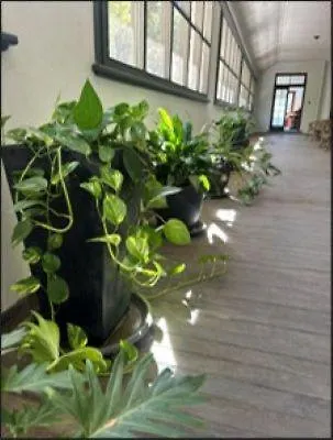 The Riverine Club