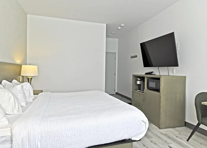 Repotel Levis