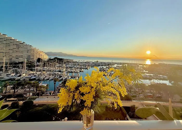 Grand Studio Vue Mer A Marina Baie Des Anges