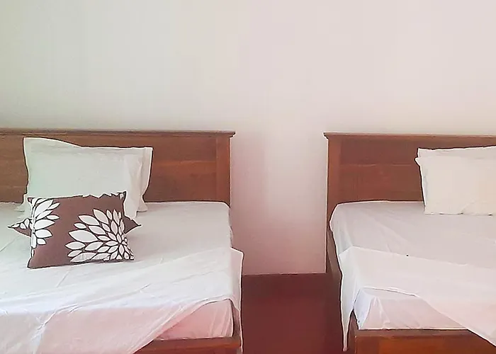 Dhighayu Ayurvedic Wellness Resort