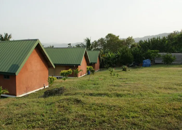 Lodge Hummingbird - Lake Bosomtwe