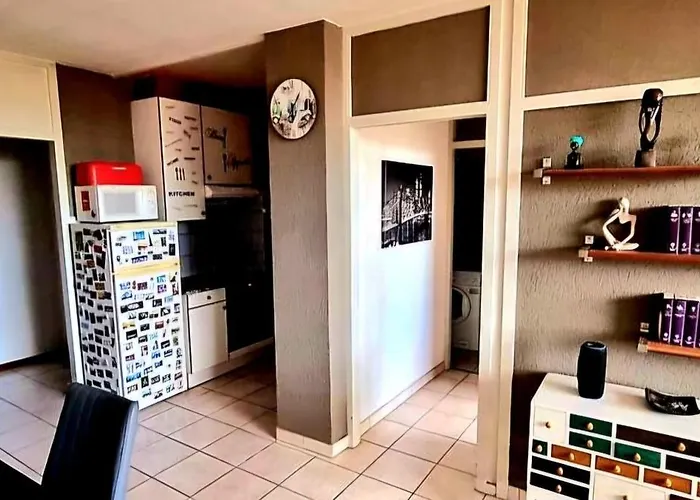 Appartement Tres Lumineux Au Centre Ville