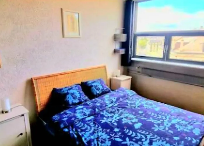Appartement Tres Lumineux Au Centre Ville