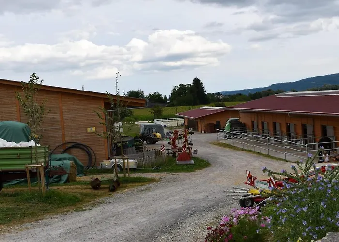 Ferienwohnung auf Aussiedlerhof mit Pferdepension