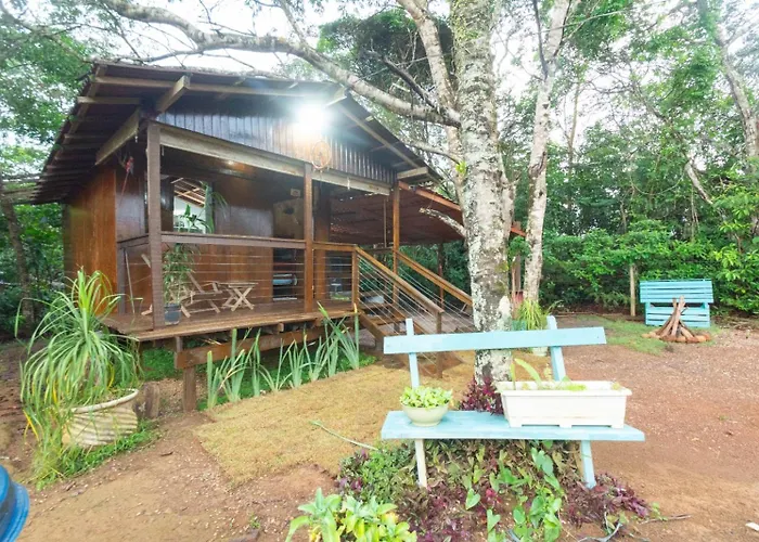 Casa das violetas