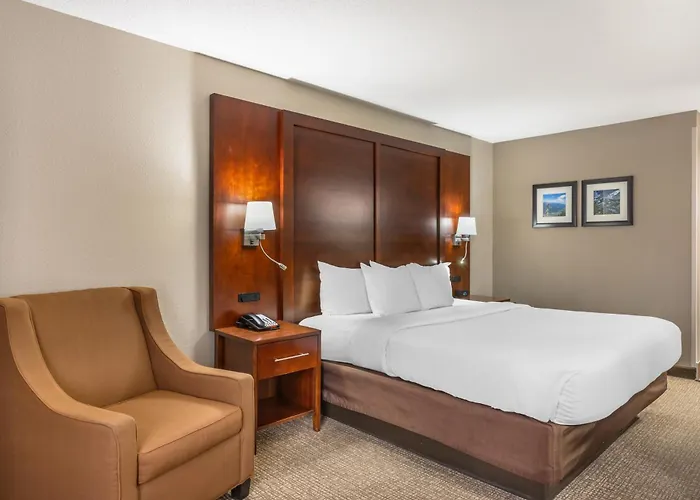Comfort Inn & Suites Conway