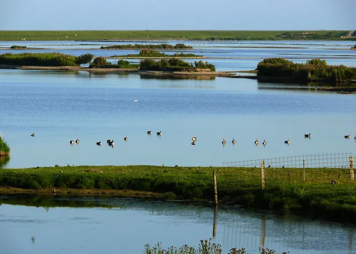 Haus Halligblick, Ferienwohnungen am Wattenmeer, Whg Oland