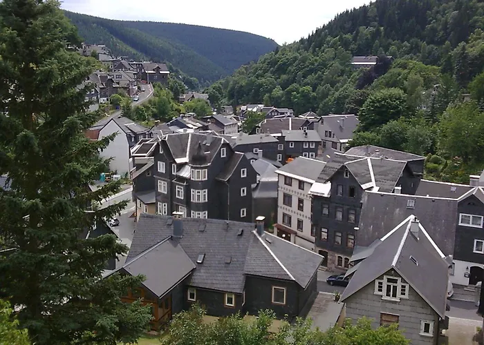 Waldblick