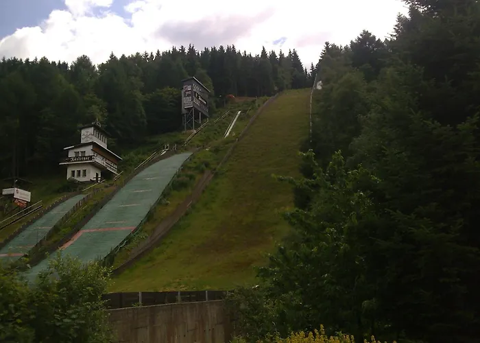 Waldblick