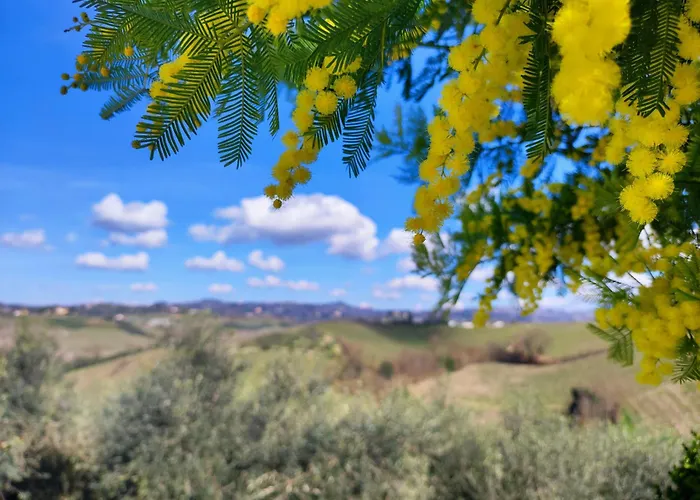 Tuscany Hills La Veduta